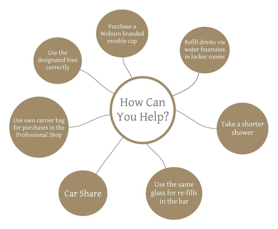 Image of mind map new